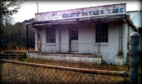 This abandoned tomato packing plant outside of Edisto, SC stands testament to the dramatic decline of the vegetable farming industry that dominated the region throughout much of the 20th century.