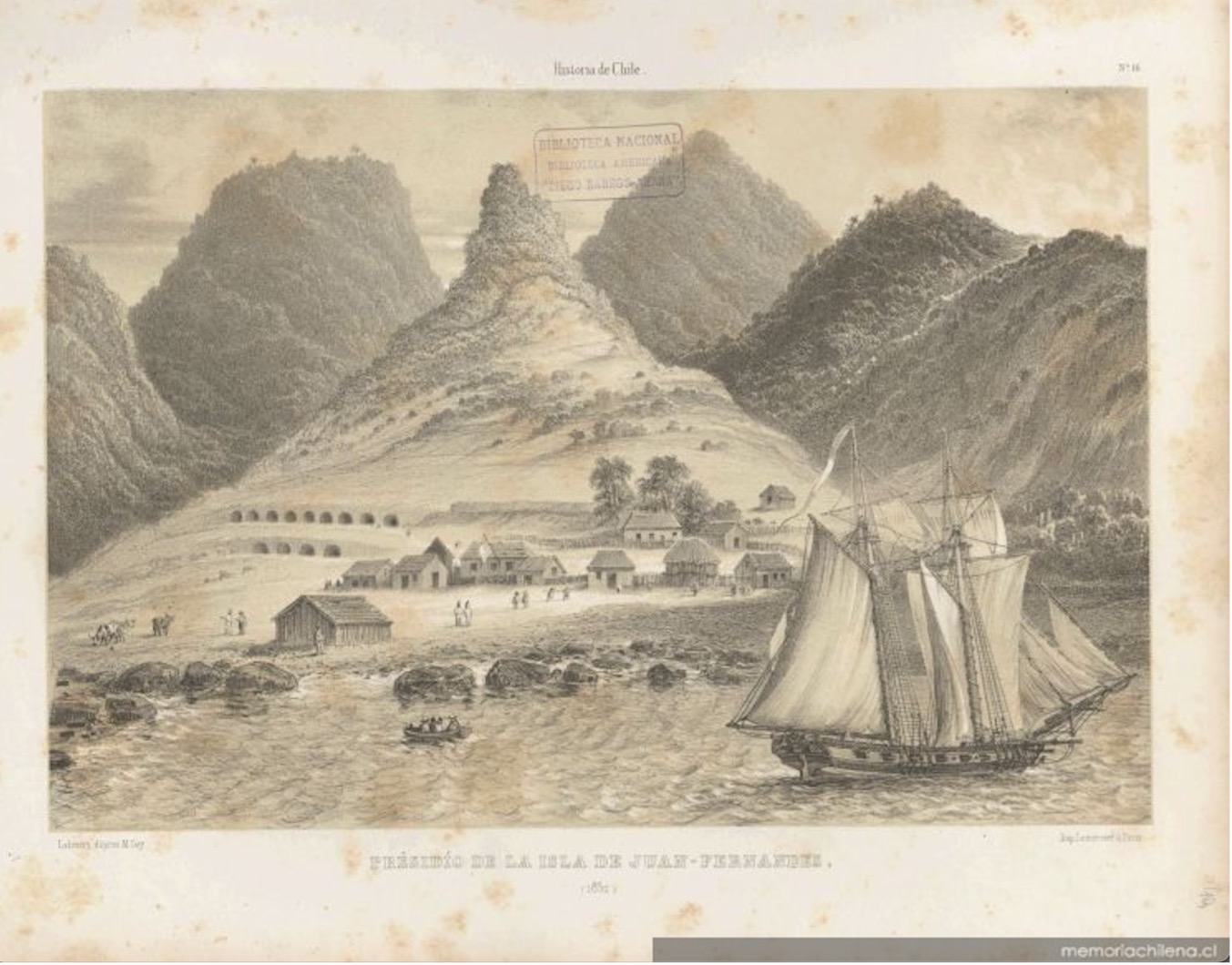 Claudio Gay, Archipiélago de Juan Fernández (Chile), 1832. Tomo 1, lámina número 16. Biblioteca Nacional de Chile (MC0001984, N° 82854)